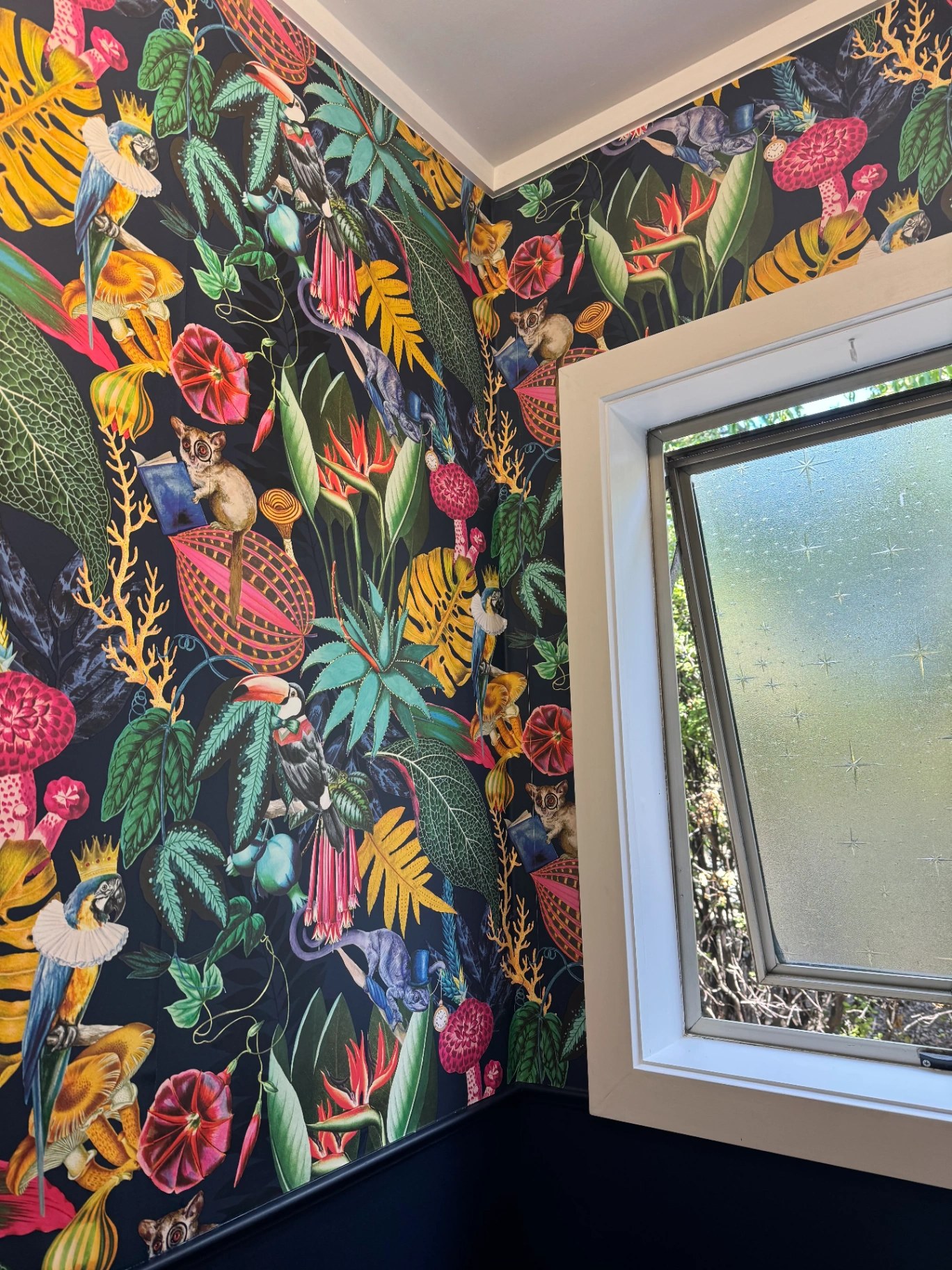 Bold tropical wallpaper installed neatly around a window